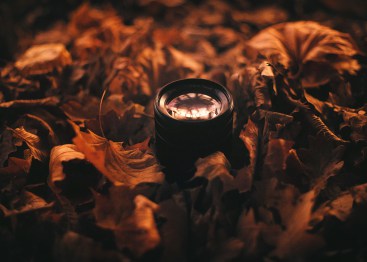 Lens in Autumn